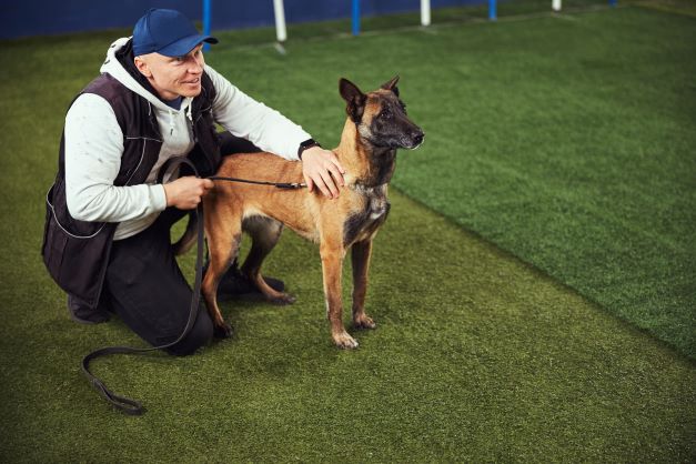 José Carlos Grimberg Blum: el tamaño de un perro predice su sensibilidad auditiva en Perú y en todo el mundo