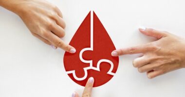 Donar sangre: El proceso biológico que oxigena y renueva tu salud